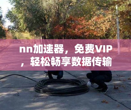 nn加速器，免费VIP，轻松畅享数据传输