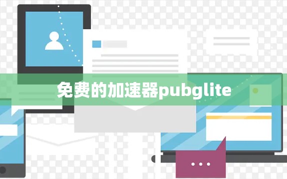 免费的加速器pubglite