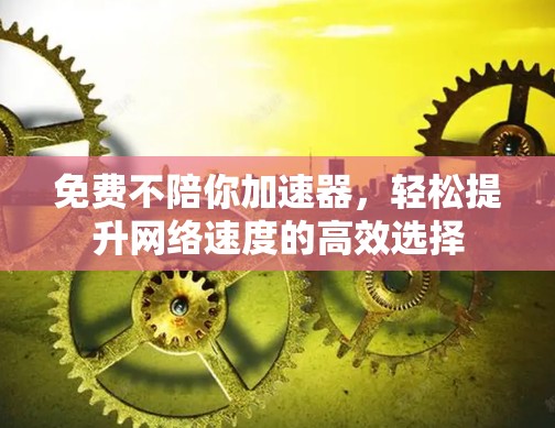 免费不陪你加速器,轻松提升网络速度的高效选择