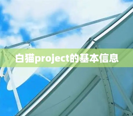 白猫project的基本信息