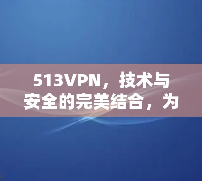 513VPN,技术与安全的完美结合,为您的网络带来更安全的未来