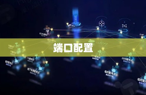 端口配置