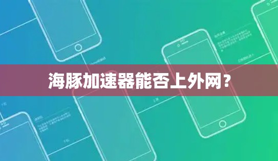 海豚加速器能否上外网？