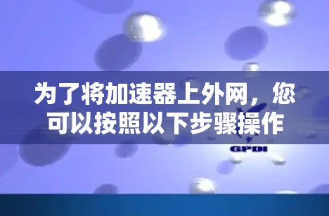 为了将加速器上外网，您可以按照以下步骤操作
