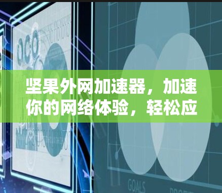 坚果外网加速器，加速你的网络体验，轻松应对各种网络挑战