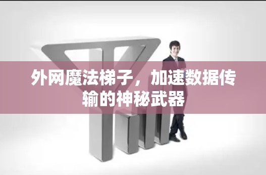 外网魔法梯子,加速数据传输的神秘武器