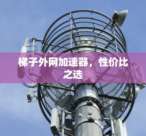 梯子外网加速器,性价比之选 梯子外网加速器,性价比之选