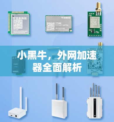小黑牛,外网加速器全面解析