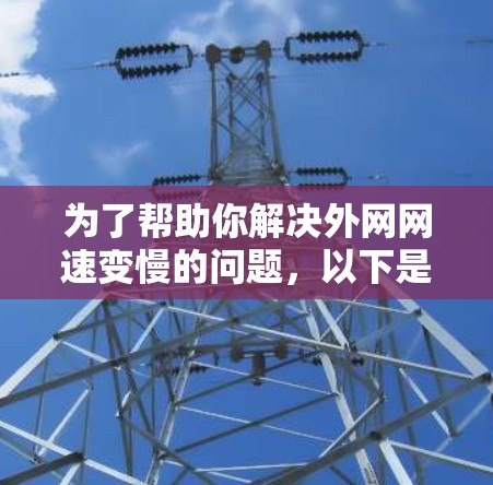 为了帮助你解决外网网速变慢的问题，以下是基于你的需求和考虑因素的建议