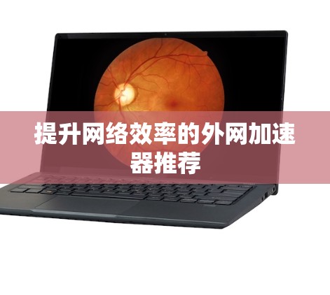 提升网络效率的外网加速器推荐 提升网络效率的外网加速器推荐
