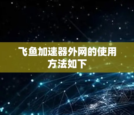 飞鱼加速器外网的使用方法如下