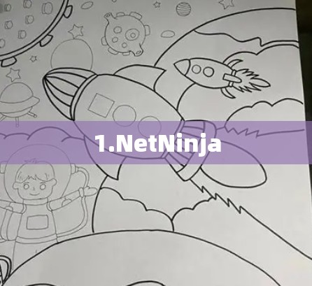 1.NetNinja