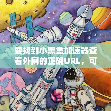 要找到小黑盒加速器查看外网的正确URL，可以按照以下步骤操作