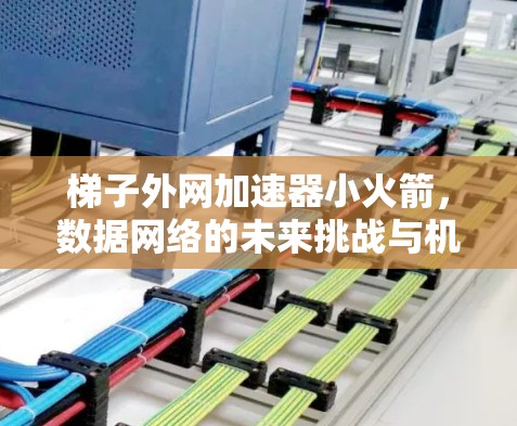 梯子外网加速器小火箭,数据网络的未来挑战与机遇