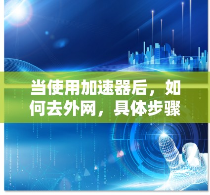 当使用加速器后，如何去外网，具体步骤如下