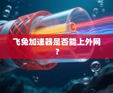 飞兔加速器是否能上外网? 飞兔加速器是否能上外网?