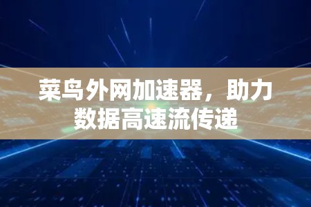 菜鸟外网加速器,助力数据高速流传递 菜鸟外网加速器,助力数据高速流传递