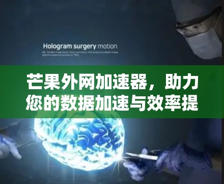 芒果外网加速器,助力您的数据加速与效率提升 芒果外网加速器,助力您的数据加速与效率提升