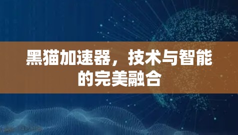 黑猫加速器，技术与智能的完美融合