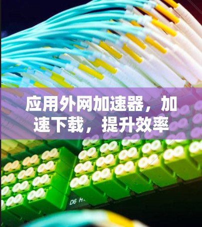 应用外网加速器，加速下载，提升效率