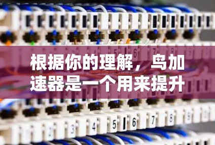 根据你的理解,鸟加速器是一个用来提升鸟飞行速度的工具,以下是一个详细的使用指南