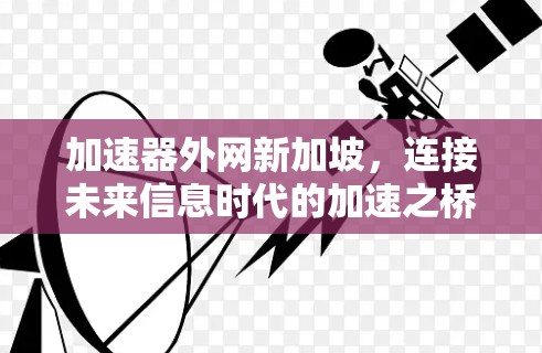 加速器外网新加坡，连接未来信息时代的加速之桥