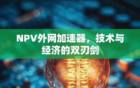 NPV外网加速器，技术与经济的双刃剑