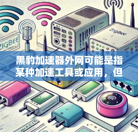 黑豹加速器外网可能是指某种加速工具或应用，但具体情况可能因地区和语言而异。为了帮助您更好地理解，我将提供一个通用的加速工具使用指南，您可以根据具体的工具进行调整