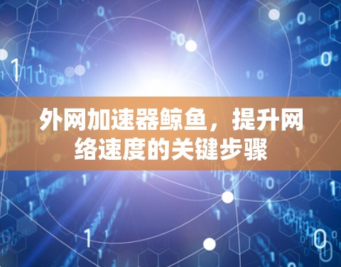 外网加速器鲸鱼,提升网络速度的关键步骤