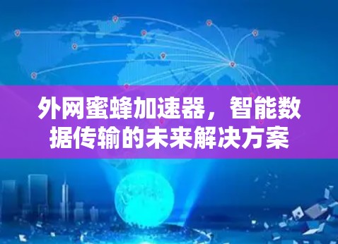 外网蜜蜂加速器,智能数据传输的未来解决方案 外网蜜蜂加速器,智能数据传输的未来解决方案