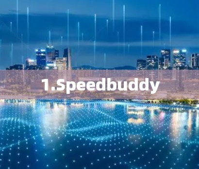 1.Speedbuddy