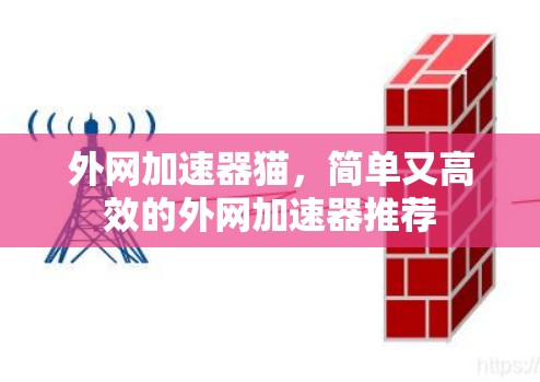 外网加速器猫,简单又高效的外网加速器推荐