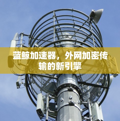 蓝鲸加速器，外网加密传输的新引擎