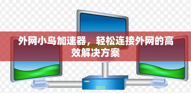 外网小鸟加速器，轻松连接外网的高效解决方案
