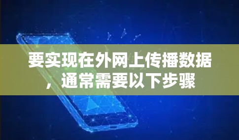 要实现在外网上传播数据,通常需要以下步骤 要实现在外网上传播数据,通常需要以下步骤