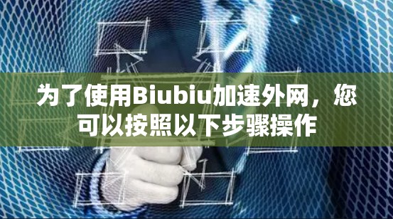 为了使用Biubiu加速外网，您可以按照以下步骤操作