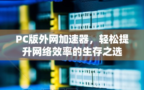 PC版外网加速器，轻松提升网络效率的生存之选