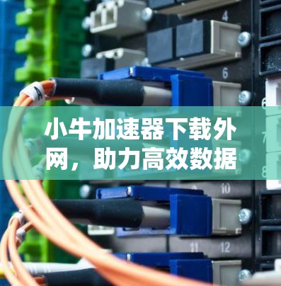 小牛加速器下载外网，助力高效数据连接的实用指南