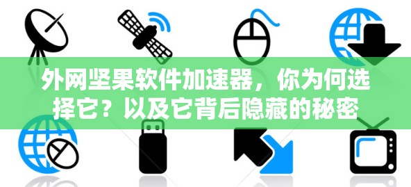 外网坚果软件加速器，你为何选择它？以及它背后隐藏的秘密