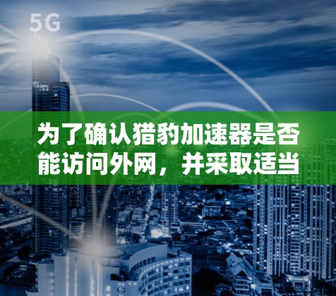 为了确认猎豹加速器是否能访问外网，并采取适当的措施以确保网络的安全和稳定，可以按照以下步骤进行