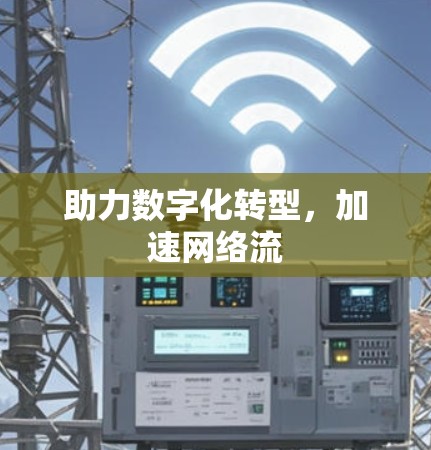助力数字化转型,加速网络流 助力数字化转型,加速网络流