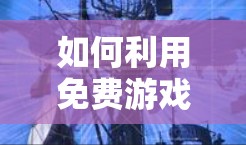 如何利用免费游戏加速器在互联网上运行