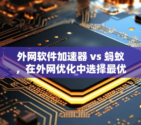 外网软件加速器 vs 蚂蚁，在外网优化中选择最优解