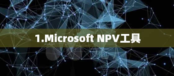 1.Microsoft NPV工具 1.Microsoft NPV工具