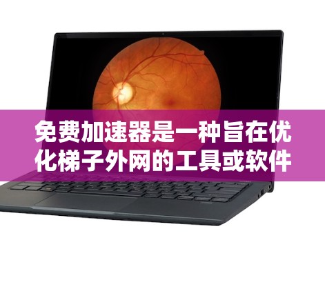 免费加速器是一种旨在优化梯子外网的工具或软件，帮助用户更有效地使用梯子结构。以下是对该主题的详细分析