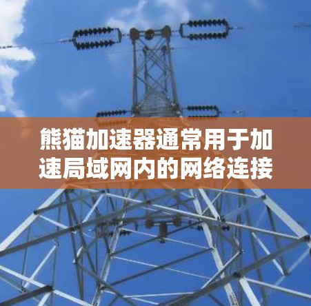 熊猫加速器通常用于加速局域网内的网络连接，比如Wi-Fi。而连外网可能指的是连接到公网网络。熊猫加速器通常不支持直接连接到公网网络，因为它们主要是针对局域网内网络的加速