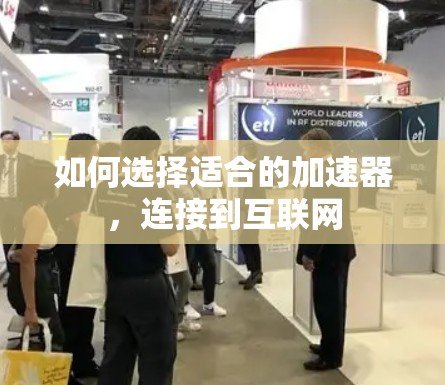 如何选择适合的加速器，连接到互联网