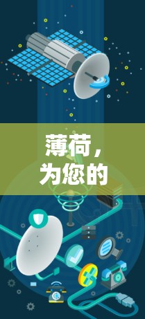薄荷,为您的外网加速器,开启更顺畅的未来 薄荷,为您的外网加速器,开启更顺畅的未来