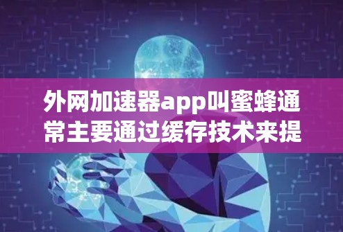 外网加速器app叫蜜蜂通常主要通过缓存技术来提升下载速度。如果你遇到加载慢、总是卡顿或广告过多的问题，可以考虑以下替代方案
