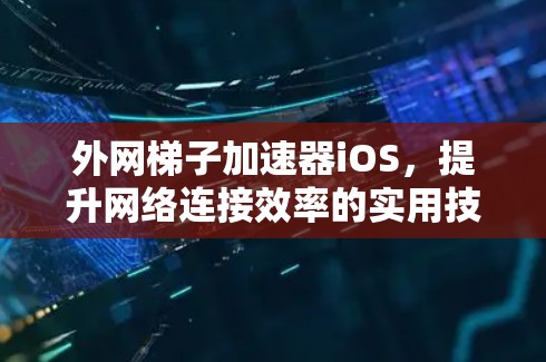 外网梯子加速器iOS，提升网络连接效率的实用技巧